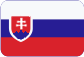 E-Consulting Czech s.r.o. Slovensky